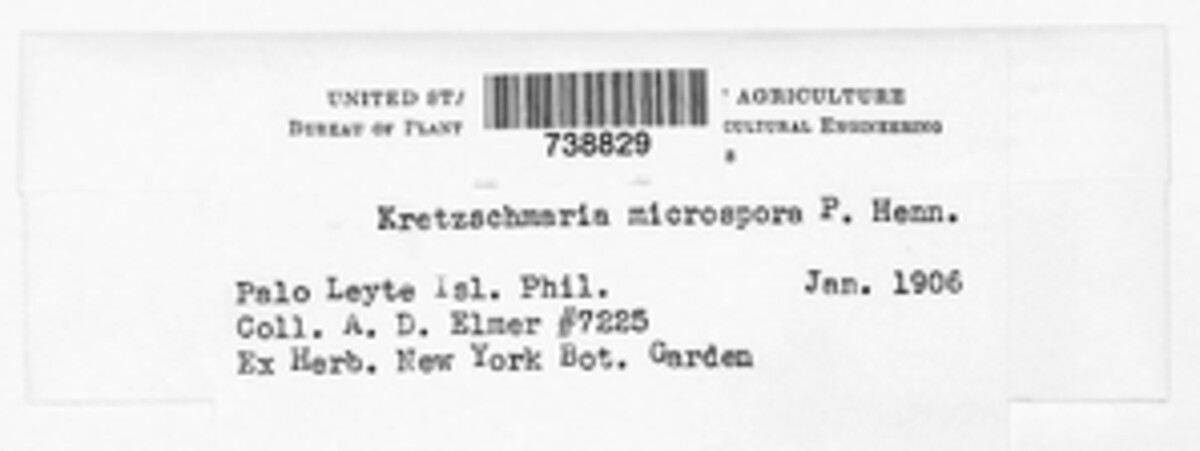Kretzschmaria microspora image